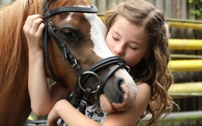 Équitation: le «sentiment de la bouche du cheval» donne au cavalier la «bonne main»