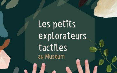 Co-création d’un livre tactile illustré