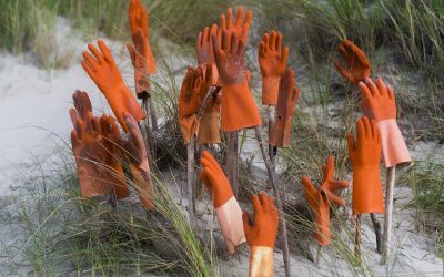 Imaginaire littéraire, l’avenir de nos sensations selon Jonathan Coe