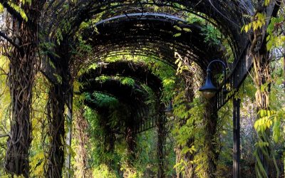 L’architecture a aussi des motivations tactiles