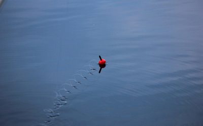 «Le succès de la pêche au lancer «réside davantage dans le toucher que dans la technologie»