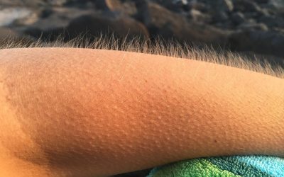 5ème conférence de l’AFONT: «Le toucher par les mots et par les textes», Bertrand Verine