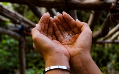 Lecture du numéro 183 de la revue Approches