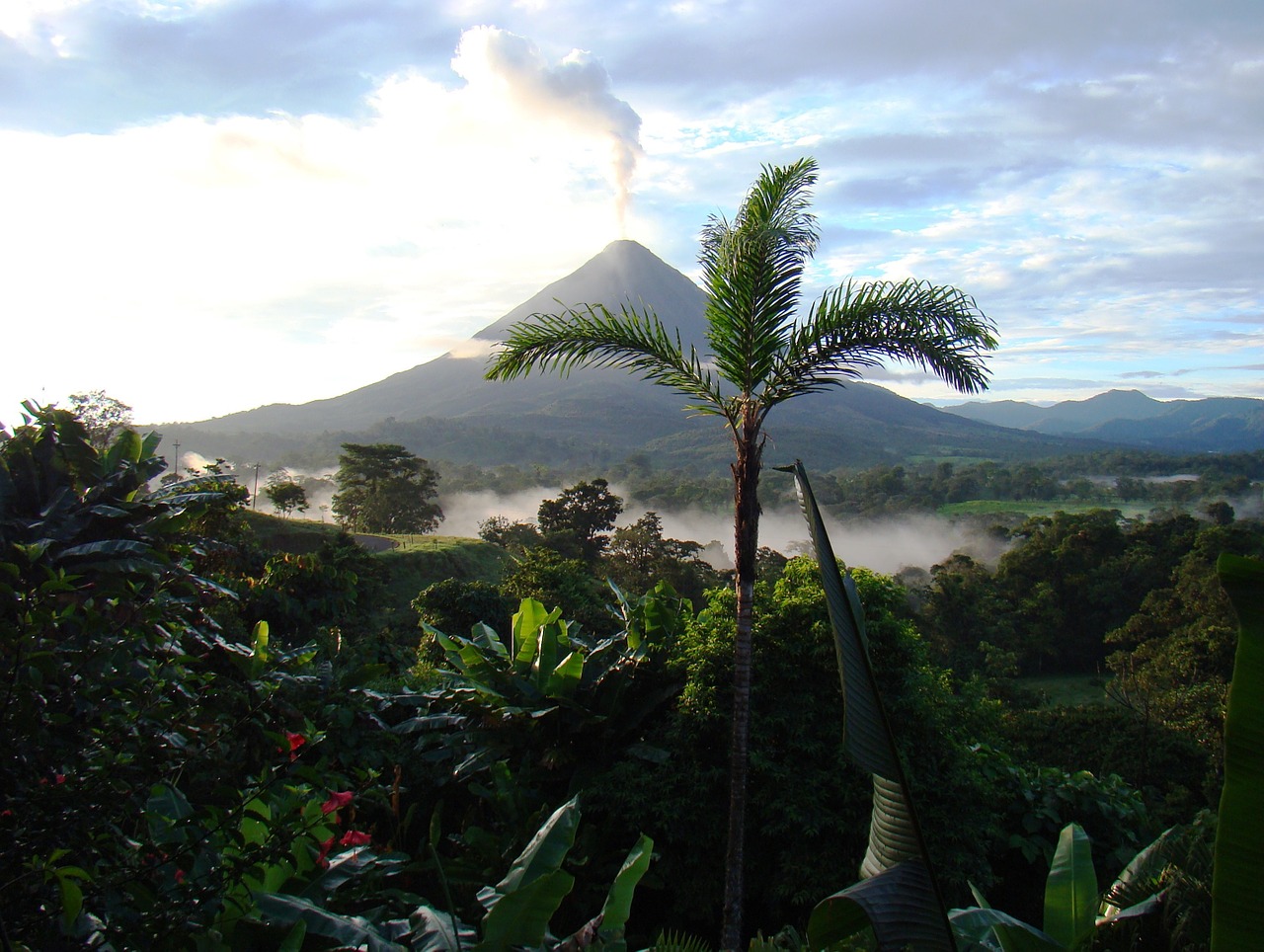 Vue lointaine d'un volcan en éruption au Costa Rica: au premier plan, un palmier surplombe une verdure composée de palmes. Au loin, la canopée est recouverte de brume.  A l'arrière-plan, un volcan sort de la forêt et crache une fumée blanche sur un ciel bleu