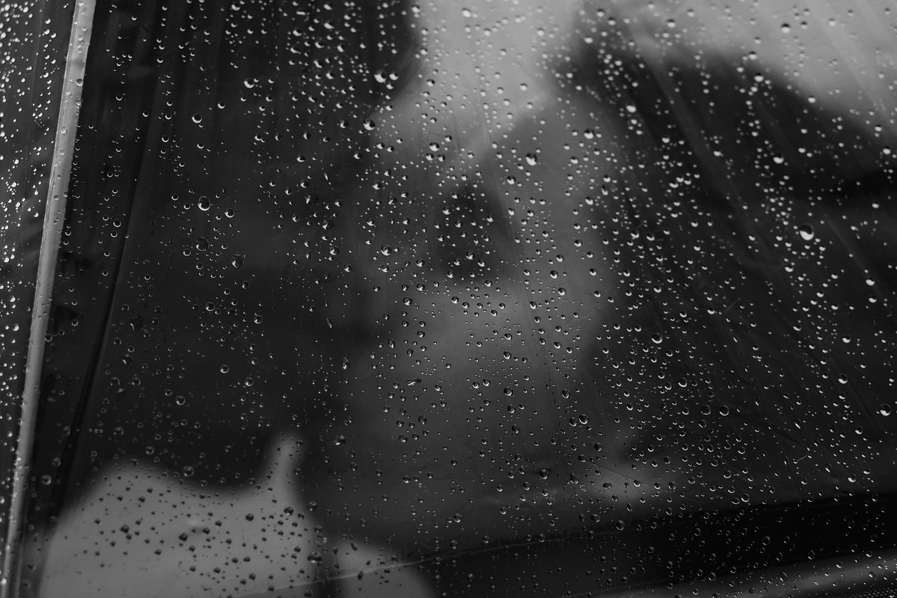En gros plan, un homme et une femme s'embrassent derrière la toile transparente d'un parapluie. L'image, en noir et blanc, est floutée par le ruissellement des gouttes de pluie sur la paroi plastique.