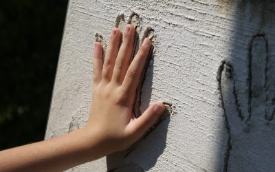 Venez toucher au musée II