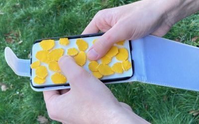 Promenons-nous dans les doigts avec Marie-José Pillet