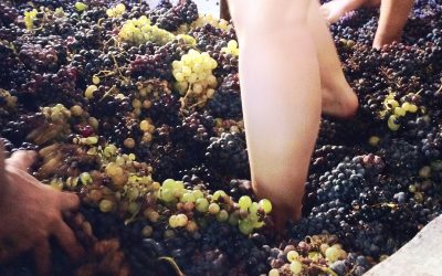 Tactilité du foulage et de la foulée