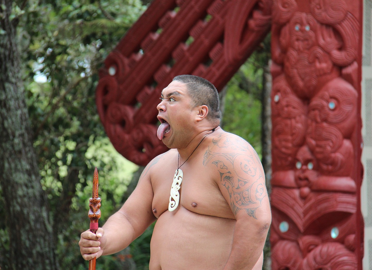 Un Maori en plein rituel d'accueil. Torse nu (l'image le montrant en plan américain), il porte un collier sculpté en nacre blanche, tient dans sa main droite une lance en bois ouvragée plantée dans le sol, a le bras gauche entièrement tatoué. Il se tient dans une des positions traditionnelles du haka (celle de clôture): jambes fléchies, main gauche posée sur la hanche et, surtout, bouche largement ouverte en tirant la langue jusqu'au menton (la langue étant considérée comme la source du Mana, la force maorie), yeux exorbités. Derrière lui, on devine une végétation tropicale et une entrée de porche sculptée dans du bois rouge, un peu comme un totem.  