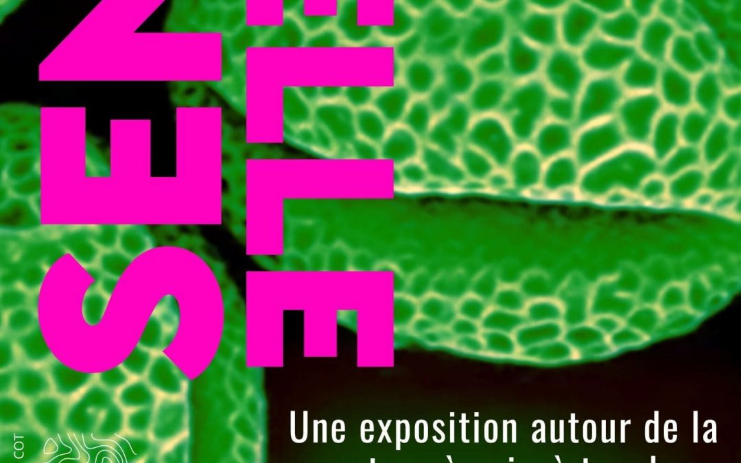 Essentielle: exposition à Toulouse du 8 au 26 janvier 2024