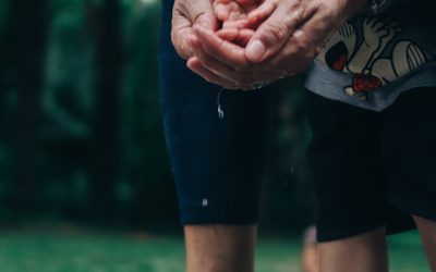Éduquer les mains: «intuition et raison»