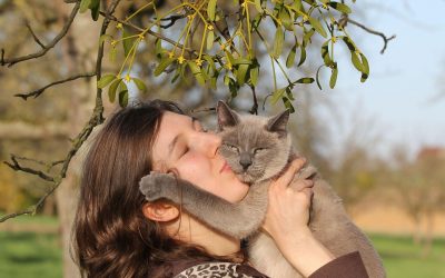 Zoothérapie: de l’animal-outil à l’animal-partenaire