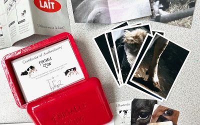 12ème conférence de l’AFONT: Camille Bellet