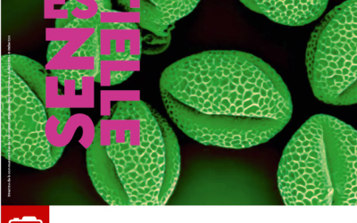Essentielle, exposition à Millau du 2 au 25 septembre 2025
