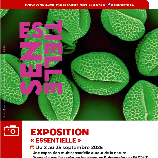 Essentielle, exposition à Millau du 2 au 25 septembre 2025