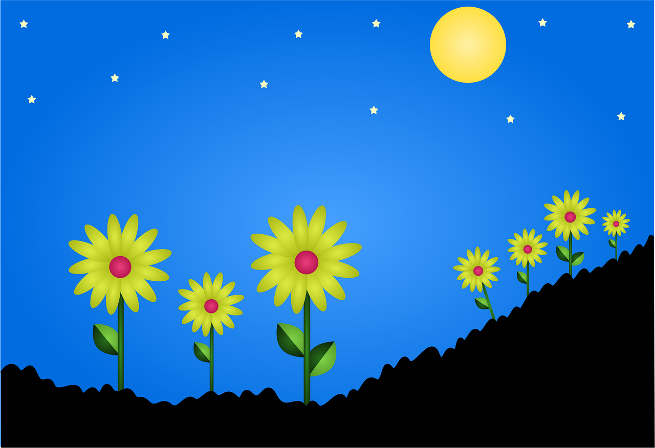 Dessin aux traits simples voire naïfs de tournesols alignés sur une colline qui monte en diagonale vers la droite. Sur le plat à gauche, deux grands tournesols entourent un plus petit. Sur le versant droit qui commence à monter, 4 petits tournesols alignés. En fond, le crépuscule avancé: le ciel garde un peu de lumière dans un bleu profond, les étoiles et la pleine lune apparaissent.