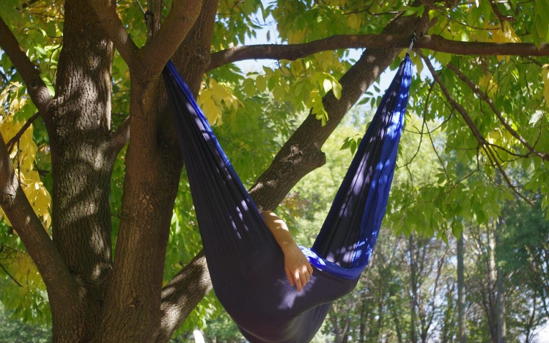 Les vœux plurisensoriels de Cécile Coulon