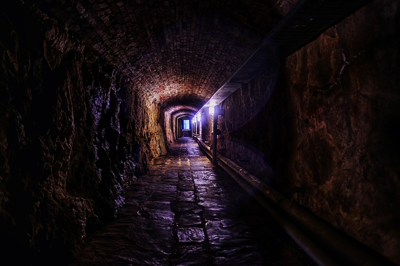 Une sorte de couloir comme dans le tunnel d'une mine. Le sol est inégal et pavé, des restes peut-être d'un chemin de fer, l'éclairage qui vient du bout du tunnel donne l'impression que les murs se rétrécissent. Les murs sont ceux d'une grotte.
