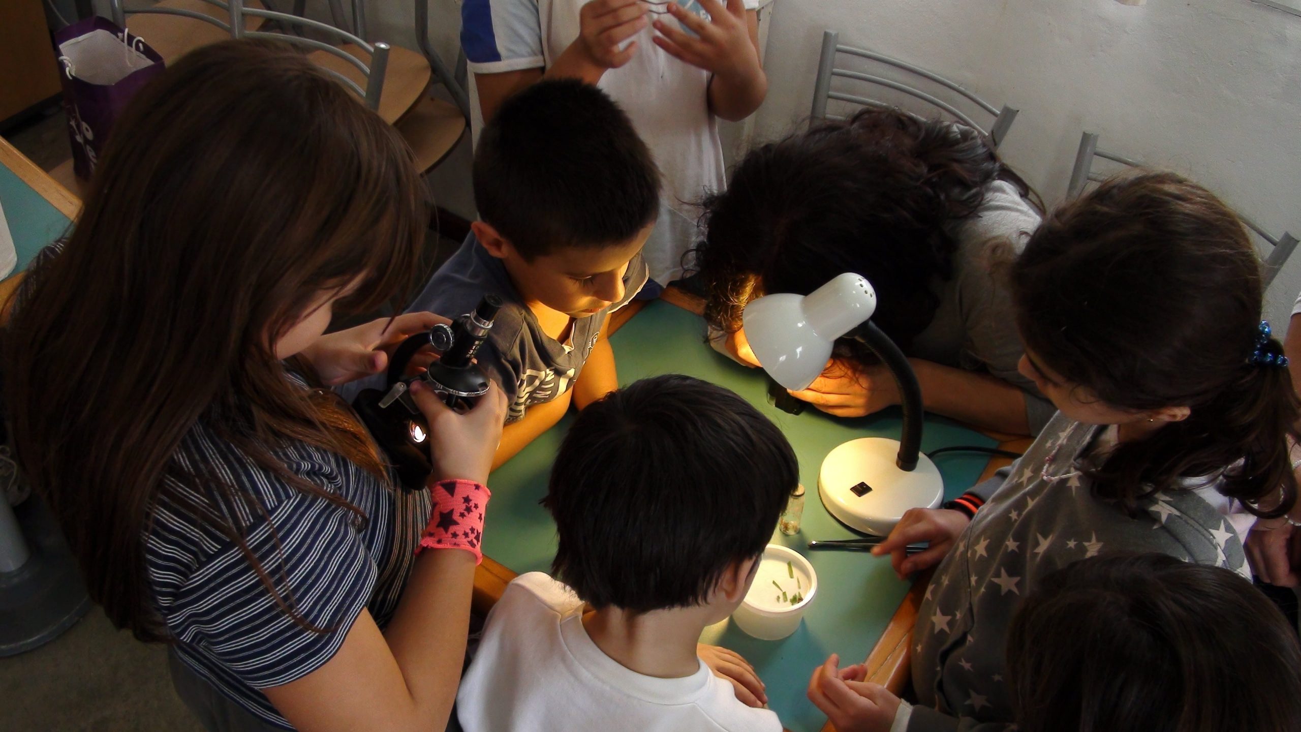 Vus d'en haut, dans une classe d'école, des enfants sont penchés au-dessus d'une table. À la lumière d'une lampe, ils observent des circuits électriques, des éléments sous microscopes qu'ils manient avec les doigts et des pincettes.