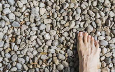 2èmes conférences de l’AFONT