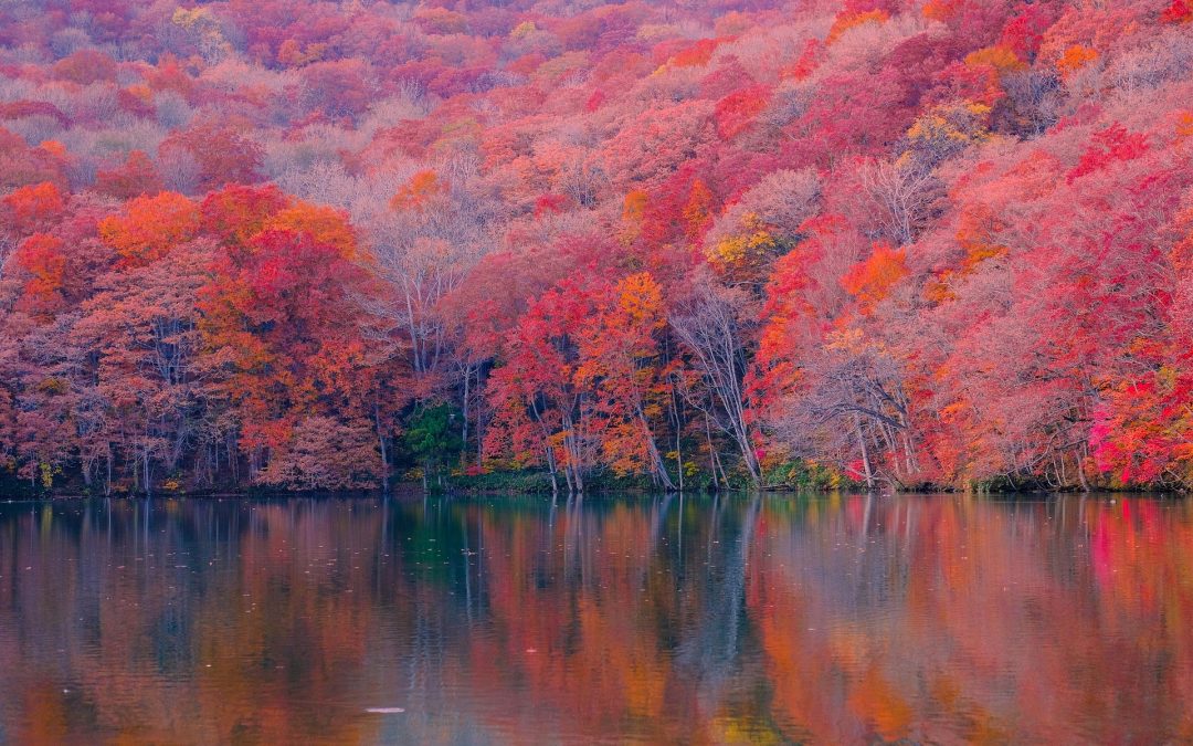 Énigme: la sensation et le sentiment océaniques