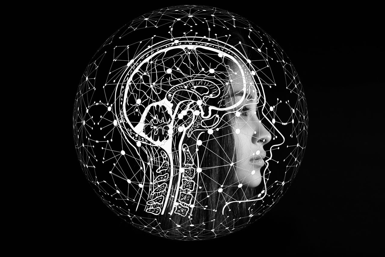 Sur un fond noir, le portrait en noir et blanc d'une femme de profil, blanche, les cheveux longs et noirs. Par-dessus son visage, un calque blanc représente, en transparence, les os du cou et les parties du cerveau, comme un écorché stylisé. Une troisième couche est un halo qui dessine des connexions mi-neuronales mi-informatiques, qui prennent la forme d'une sphère autour du portrait.